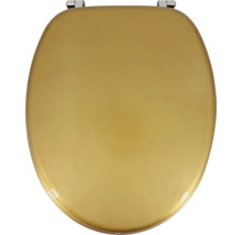 Toiletbril van kunststof met metalen beslag