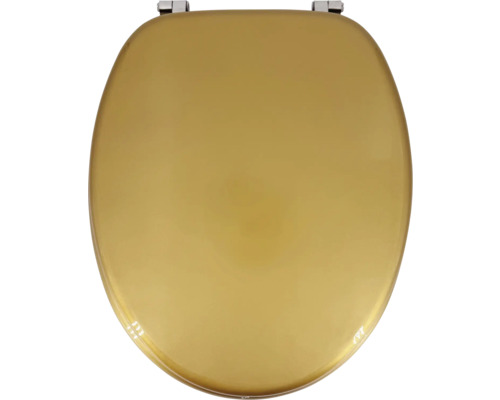 Toiletbril van kunststof met metalen beslag