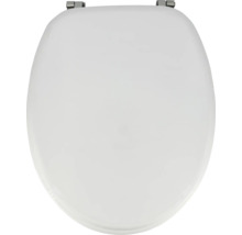 Toiletdeksel van kunststof met bevestiging