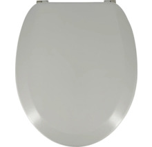 Toiletdeksel van kunststof met bevestiging