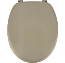 Toiletdeksel van kunststof