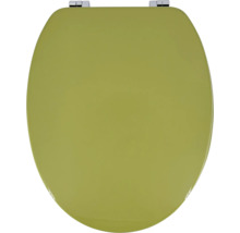 Houten toiletbril met chromen scharnieren