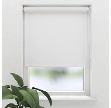 Wit rolgordijn aan het raam met plant in de kamer