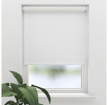 Wit rolgordijn op het raam met kettingbediening en plant