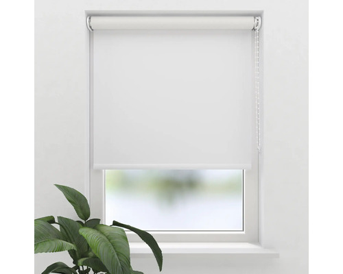 Wit rolgordijn op het raam met kettingbediening en plant