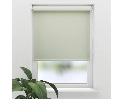 Groen rolgordijn voor raam voor verduistering en privacy