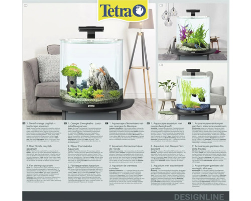 Meerdere aquaria met verschillende decoraties en beplanting, waaronder dwergkreeften, waaierhandgarnalen en planten.