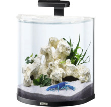 Aquarium met decoratie en blauwe kreeft