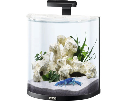 Aquarium met decoratie en blauwe kreeft