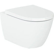 Wandcloset met diepspoeling en toiletzitting