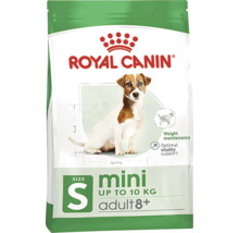 Royal Canin Mini Adult 8+ droog hondenvoer, geschikt voor kleine honden tot 10 kilogram voor gewichtsbehoud en ondersteuning van de vitaliteit