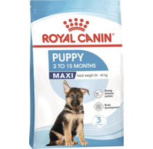 Royal Canin Puppy Maxi hondenvoer voor puppy's van 2 tot 15 maanden met een gewicht van 26 tot 44 kilogram.