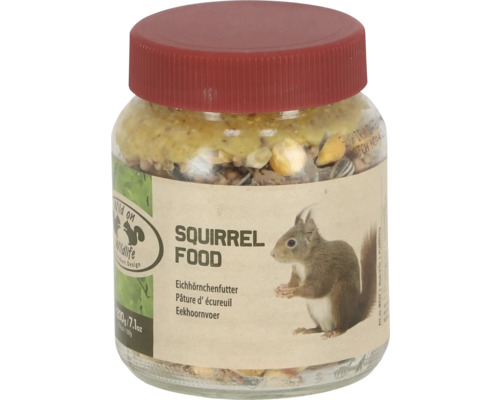 Eekhoornvoer in glazen pot