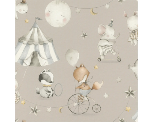 Illustratie met circusmotieven en dieren zoals een olifant, vos en wasbeer