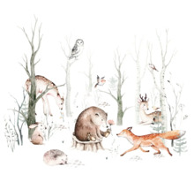 Illustratie met dieren in het bos, waaronder een hert, beer, vos, haas, egel en uil