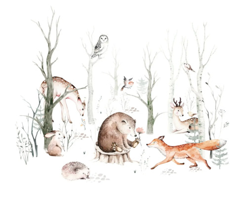 Illustratie met dieren in het bos, waaronder een hert, beer, vos, haas, egel en uil