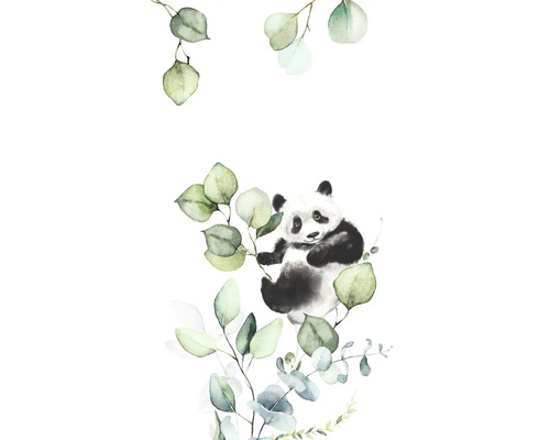 Illustratie van een panda met eucalyptusbladeren