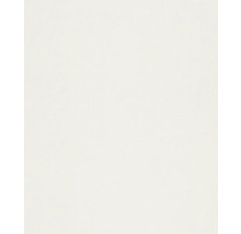 Effen achtergrond voor productfotografie