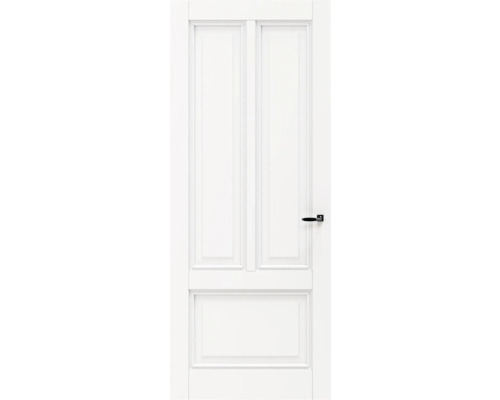 Witte binnendeur met twee panelen en zwarte deurklink
