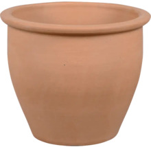 Bloempot van terracotta