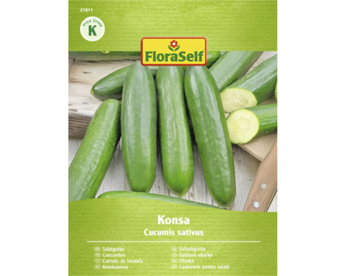 Komkommer van het ras Konsa, Cucumis sativus, van FloraSelf