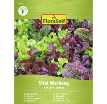 FloraSelf Vital Mischung Baby Leaf Sla Zaden Pakket