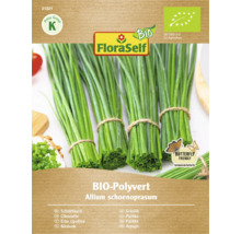 Verpakking biologisch bieslook zaden