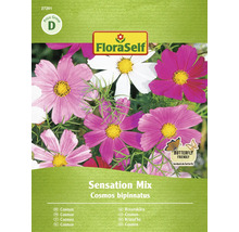 FloraSelf Cosmos bipinnatus Sensation Mix zaadpakket