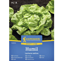 Kiepenkerl Humil kropsla zaden