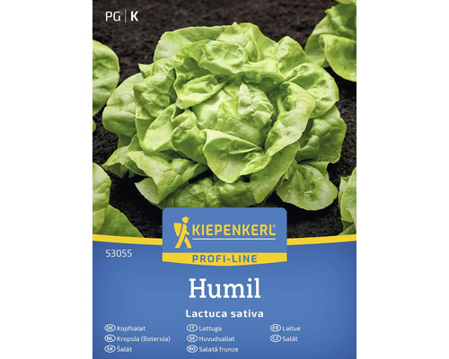 KIEPENKERL Groentezaden Kropsla Humil 150 st Kiepenkerl Humil kropsla zaden