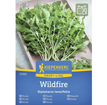 Kiepenkerl Wildfire Rucola zaadverpakking
