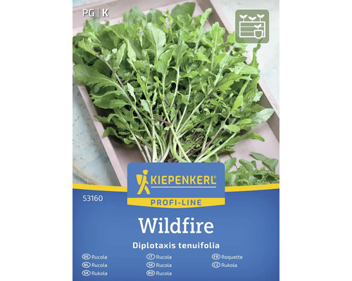 KIEPENKERL Groentezaden Rucola Wildfire Kiepenkerl Wildfire Rucola zaadverpakking