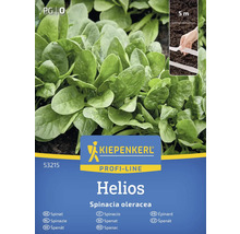 Kiepenkerl Profi-Line Helios Spinazie zadenpakket