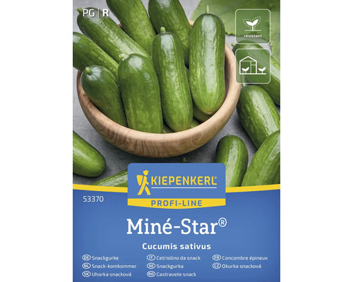 KIEPENKERL Groentezaden Snackkomkommer Mine-star 5 st Kiepenkerl Miné-Star snackkomkommer zadenpakket