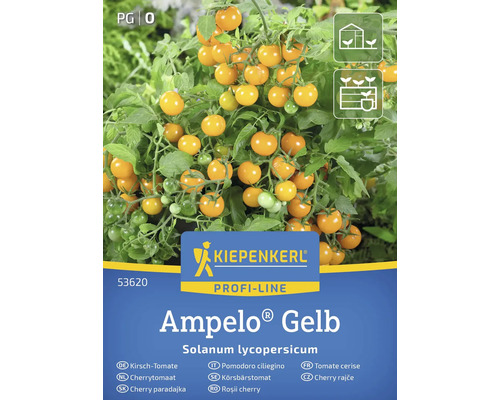 Kiepenkerl Ampelo Gelb cherrytomatenzadenpak