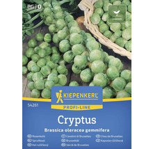 Kiepenkerl Cryptus spruitkoolzaden