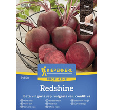 Kiepenkerl Redshine rode biet zaden