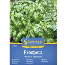 Kiepenkerl Prospera Basilicum plant