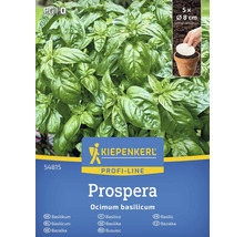 Kiepenkerl Prospera basilicum plantenverpakking met vijf planten