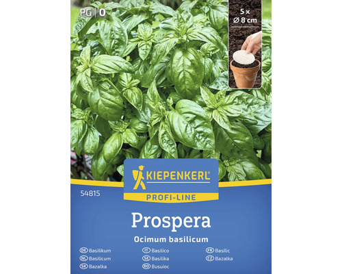 Kiepenkerl Prospera basilicum plantenverpakking met vijf planten