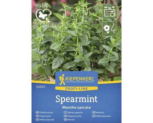 KIEPENKERL Kruidenzaden Pepermunt Spearmint 200 st Kiepenkerl groene munt plant