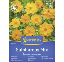 Kiepenkerl zwavelcosmea Sulphureus Mix zaadpakket