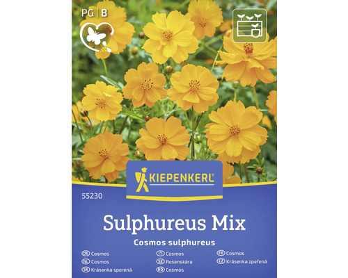 Kiepenkerl zwavelcosmea Sulphureus Mix zaadpakket