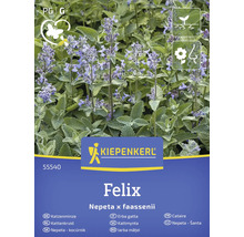 Kiepenkerl Felix Kattenkruid, Nepeta x faassenii