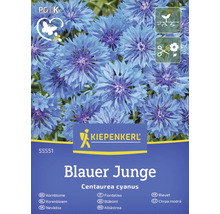 Zaadpakket korenbloem Blauer Junge