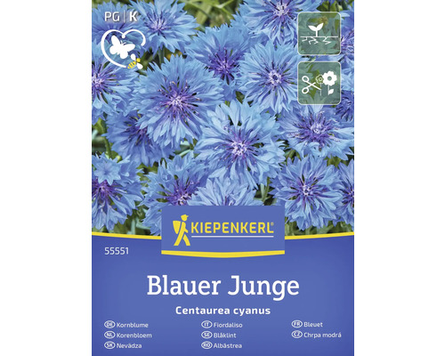 KIEPENKERL Bloemenzaden Korenbloem Blauer Junge 60 st Zaadpakket korenbloem Blauer Junge