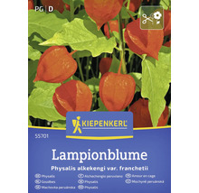 Kiepenkerl Lampionbloem verpakking