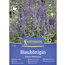 Salvia zadenpakket