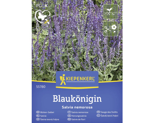 KIEPENKERL Bloemenzaden Bloemensalie Blauwe Koningin 30 st Salvia zadenpakket
