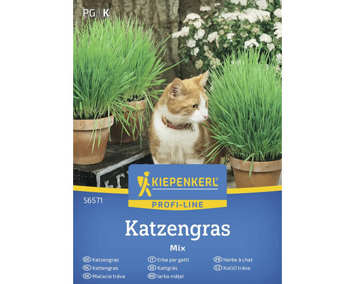 KIEPENKERL Bloemenzaden Kattengras frisgroen mix Kiepenkerl Kattengras Mix verpakking met kat en potten